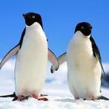 企业人性化管理成功案例-笔笔者的专栏